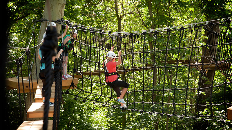 Outdoor image of women in the tree canopy